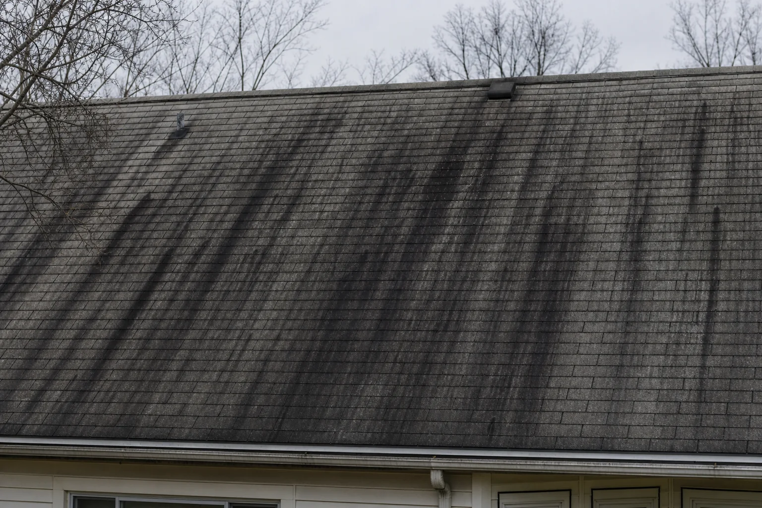 Roof before soft wash