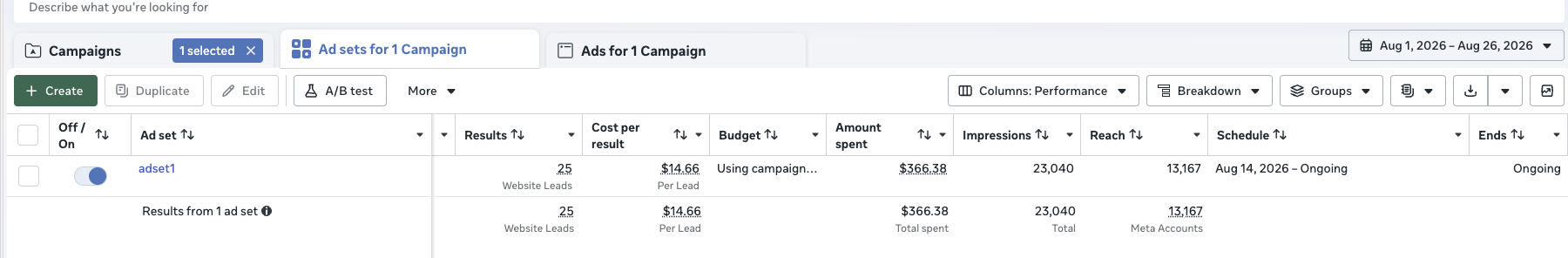 Captura de una campaña real con 25 website leads, $14.66 por lead y $366.38 invertidos