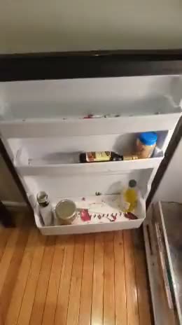 Refrigerator before